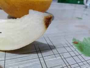 吃哈密瓜头变哈密瓜,揭秘哈密瓜头变哈密瓜的神奇现象