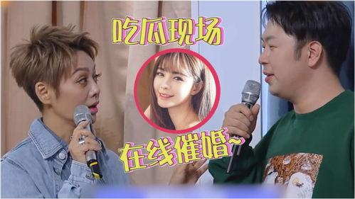 吃瓜爆料宁静,娱乐圈的“瓜王”揭秘