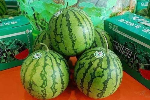 吃瓜无月,揭秘娱乐圈背后的秘密与真相