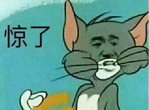 撩妹大队吃瓜,揭秘校园里的甜蜜秘密