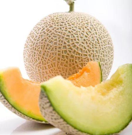 大马猴吃哈密瓜,一场味蕾与自然的邂逅