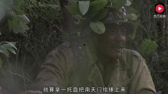 上帝吃瓜完整视频,一场视觉与味蕾的双重盛宴