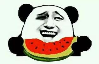 流泪吃瓜,见证人间百态的感人瞬间