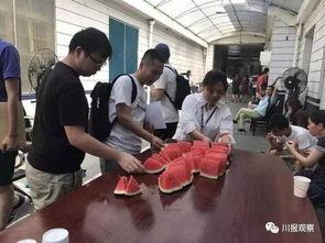 吃瓜群众 记者,吃瓜群众视角下的记者众生相