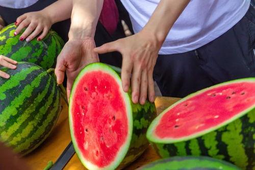 学校那个吃瓜事件,揭秘那场引发热议的吃瓜事件