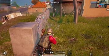 吃瓜书荒小队,畅游书海,共享阅读盛宴