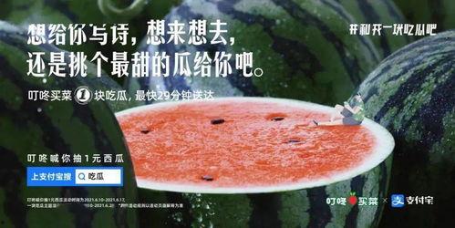 形容网络吃瓜文案,揭秘虚拟世界的“瓜田”盛景