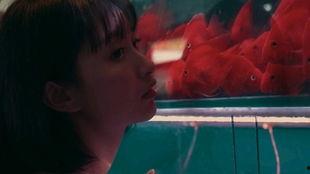 吃瓜少女暴力,揭开网络暴力的冰山一角